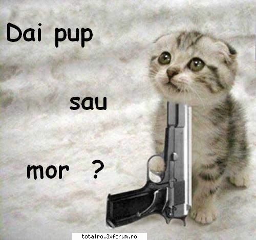 buna ma cheama guner am 11 ani am si nr de telefon da nul dau ca nimeni nu ma baga inseama imi place